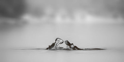 Water conversation Black Ornate Wood Framed Art Print with Double Matting by Chang, Phillip