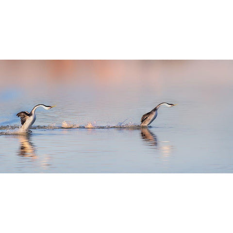 Chase After Gold Ornate Wood Framed Art Print with Double Matting by Chang, Phillip