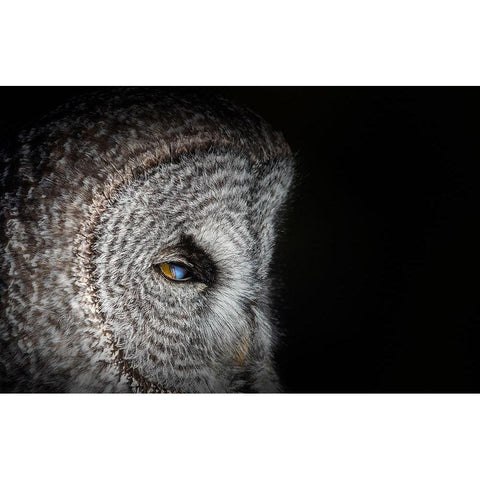 Never mind Black Modern Wood Framed Art Print with Double Matting by Chang, Phillip