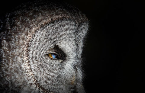 Never mind White Modern Wood Framed Art Print with Double Matting by Chang, Phillip