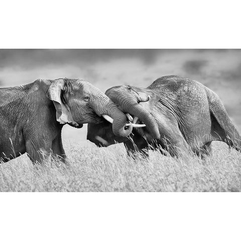 So Powerful Black Modern Wood Framed Art Print with Double Matting by Chang, Phillip