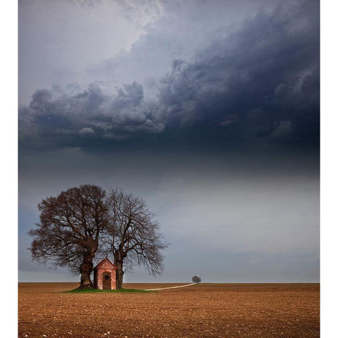 The width of the Alb Gold Ornate Wood Framed Art Print with Double Matting by Schumacher, Nicolas