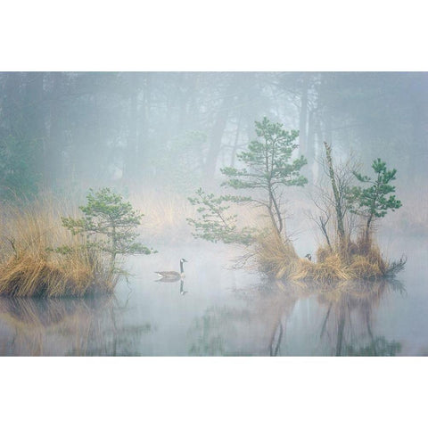 Hide and Seek White Modern Wood Framed Art Print by George, Andrew