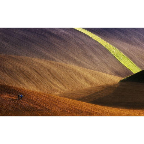 Running free Gold Ornate Wood Framed Art Print with Double Matting by Krol, Piotr