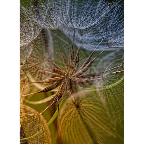 Inside White Modern Wood Framed Art Print by Mathiesen, Kent