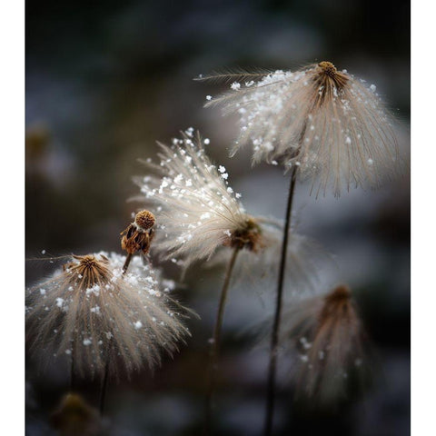 The new dress Black Modern Wood Framed Art Print with Double Matting by Dou, Shenshen