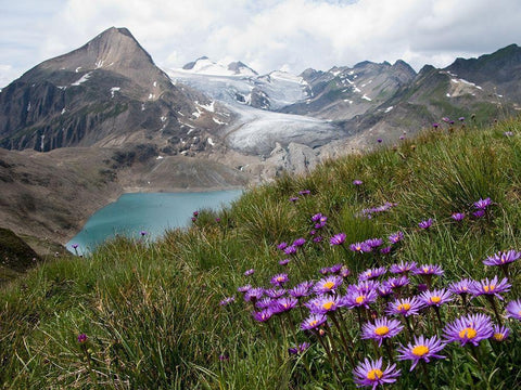 Corno Gries-Switzerland Black Ornate Wood Framed Art Print with Double Matting by Guarino, Vito