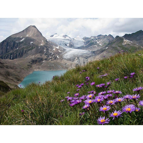 Corno Gries-Switzerland Black Modern Wood Framed Art Print with Double Matting by Guarino, Vito