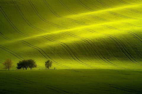 Sunlight Black Ornate Wood Framed Art Print with Double Matting by Banny, Peter