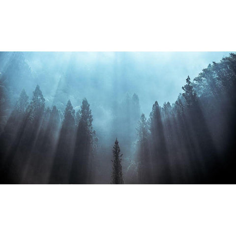 Light to be believed likely Black Modern Wood Framed Art Print with Double Matting by Fujii, Tsuneya