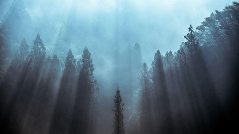 Light to be believed likely White Modern Wood Framed Art Print with Double Matting by Fujii, Tsuneya