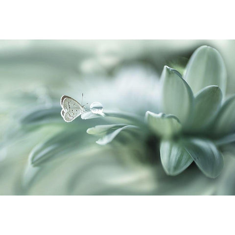 Bola ajaib Black Modern Wood Framed Art Print with Double Matting by Setiawan, Arief