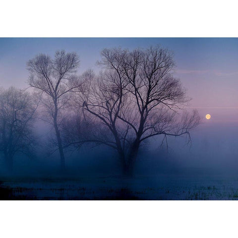 Another new day Black Modern Wood Framed Art Print with Double Matting by Agazzi, Andreas