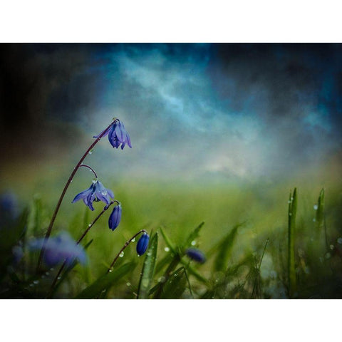 After the spring rain Gold Ornate Wood Framed Art Print with Double Matting by Kvarnstrom, Asmund