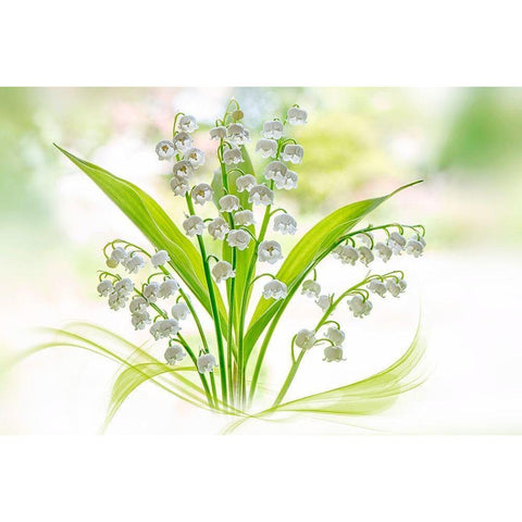 Lily of the valley Black Modern Wood Framed Art Print with Double Matting by Parker, Jacky