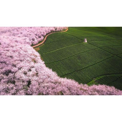 The road of flower White Modern Wood Framed Art Print by TIANQI