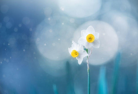 Spirit of moment White Modern Wood Framed Art Print with Double Matting by Suzuki, Takashi