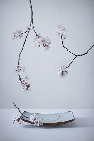 The First Cherry Blossom White Modern Wood Framed Art Print with Double Matting by Karpova, Inna