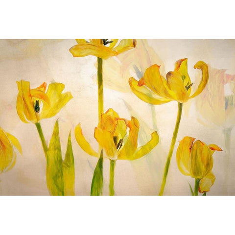 Flowering tulips Gold Ornate Wood Framed Art Print with Double Matting by Talen, Nel