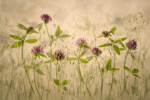 Old luky times Black Ornate Wood Framed Art Print with Double Matting by Talen, Nel