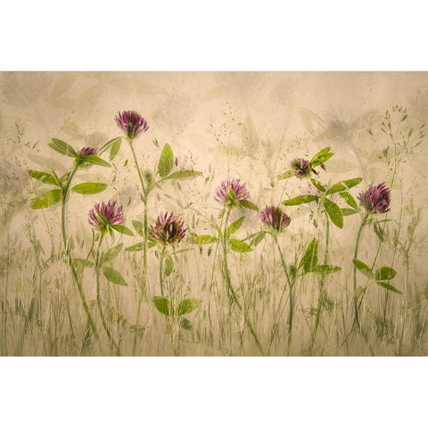 Old luky times Black Modern Wood Framed Art Print with Double Matting by Talen, Nel