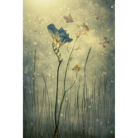 Busy Hour Black Modern Wood Framed Art Print with Double Matting by Kiral, Cicek