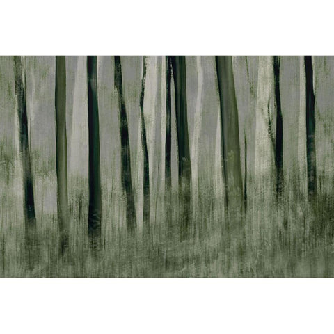 Trees in motion Gold Ornate Wood Framed Art Print with Double Matting by Talen, Nel