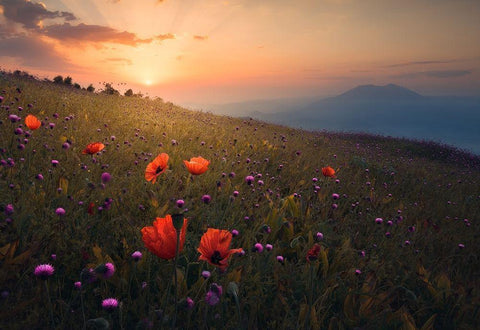 Rudbar Heights in Spring White Modern Wood Framed Art Print with Double Matting by Behzad, Majid