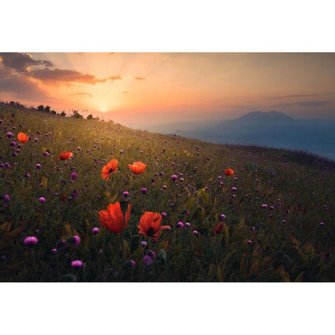 Rudbar Heights in Spring Black Modern Wood Framed Art Print with Double Matting by Behzad, Majid