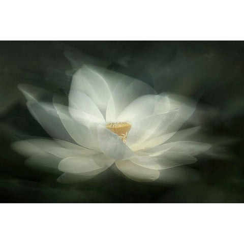 Swaying White Modern Wood Framed Art Print by Zhao, Qing