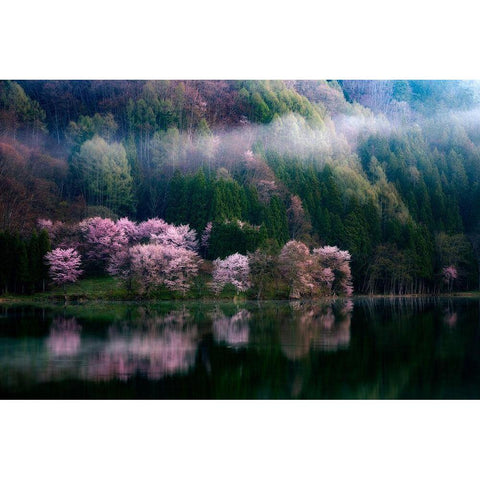 In The Morning Mist Black Modern Wood Framed Art Print with Double Matting by Mitamura, Takeshi