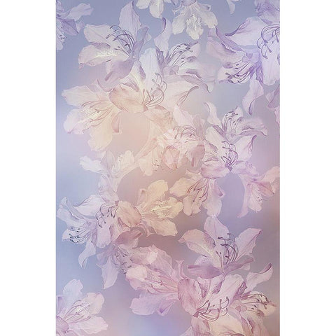 Spring touch White Modern Wood Framed Art Print by Shumilova, Ludmila