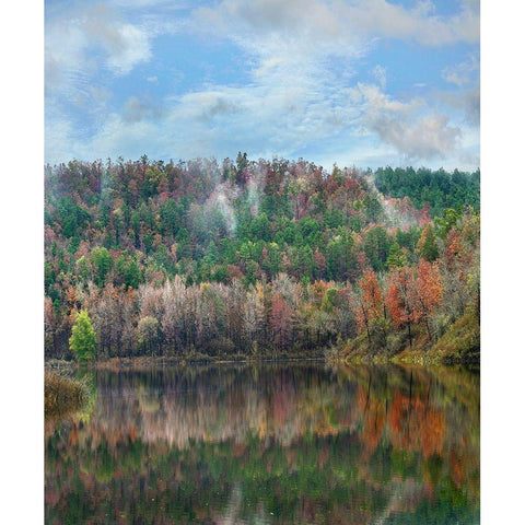 Cassatot Point-Gillham Lake-Arkansas White Modern Wood Framed Art Print by Fitzharris, Tim