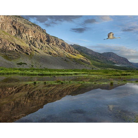 Dome Mountain and Animas River near Silverton-Colorado Black Modern Wood Framed Art Print with Double Matting by Fitzharris, Tim