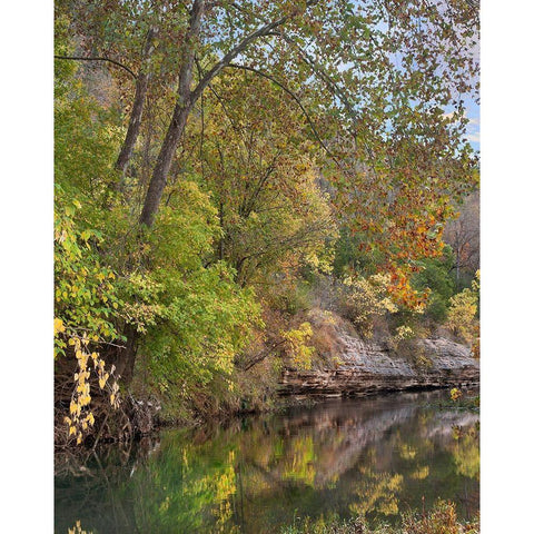 Crooked Creek near Harrison-Arkansas Black Modern Wood Framed Art Print with Double Matting by Fitzharris, Tim