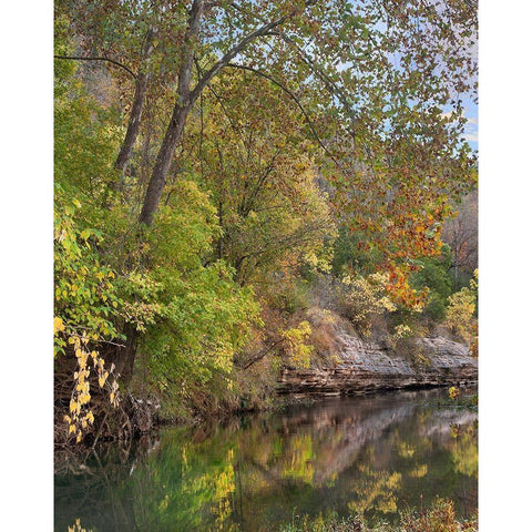 Crooked Creek near Harrison-Arkansas White Modern Wood Framed Art Print by Fitzharris, Tim