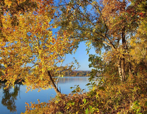 Lake Sequoyah Autumn-Arkansas White Modern Wood Framed Art Print with Double Matting by Fitzharris, Tim