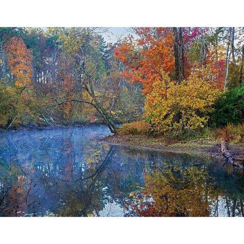 Petit Jean River-Petit Jean State Park-Arkansas. Black Modern Wood Framed Art Print with Double Matting by Fitzharris, Tim