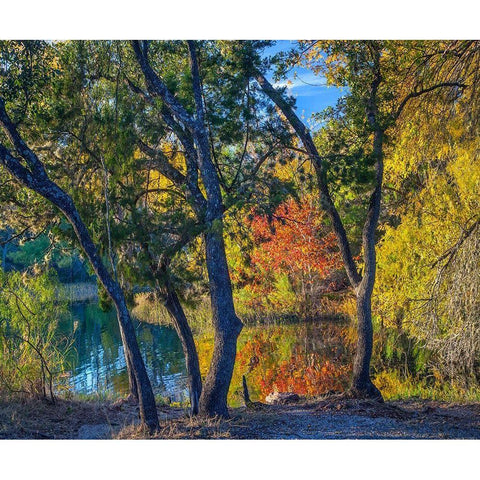 Inks Lake-Inks Lake State Park-Texas Black Modern Wood Framed Art Print with Double Matting by Fitzharris, Tim