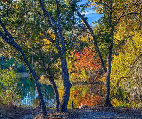 Inks Lake-Inks Lake State Park-Texas White Modern Wood Framed Art Print with Double Matting by Fitzharris, Tim