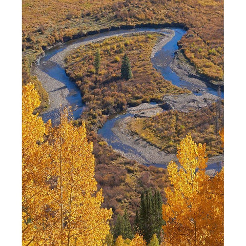 East River near Gothic-Colorado Gold Ornate Wood Framed Art Print with Double Matting by Fitzharris, Tim