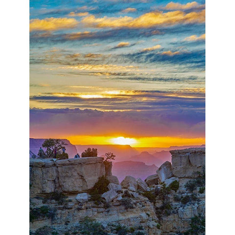 Moran Point-Grand Canyon National Park-Arizona-USA Black Modern Wood Framed Art Print with Double Matting by Fitzharris, Tim