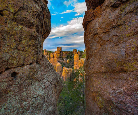 Grotto at Echo Canyon Trail-Chiricahua National Monument-Arizona Black Ornate Wood Framed Art Print with Double Matting by Fitzharris, Tim