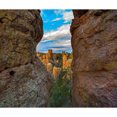 Grotto at Echo Canyon Trail-Chiricahua National Monument-Arizona White Modern Wood Framed Art Print by Fitzharris, Tim