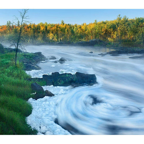 St Louis River-Jay Cooke State Park ,Minnesota. Gold Ornate Wood Framed Art Print with Double Matting by Fitzharris, Tim