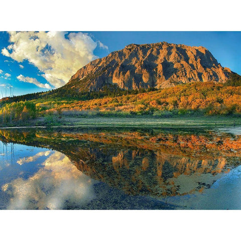 Marcellina Mountain-Colorado Gold Ornate Wood Framed Art Print with Double Matting by Fitzharris, Tim