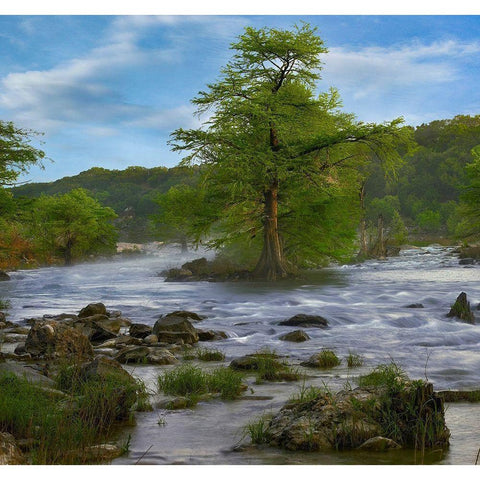 Pedernales River-Pedernales Falls State Park-Texas Gold Ornate Wood Framed Art Print with Double Matting by Fitzharris, Tim