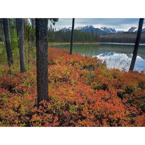 Sawtooth National Recreation Area-Idaho Black Modern Wood Framed Art Print with Double Matting by Fitzharris, Tim