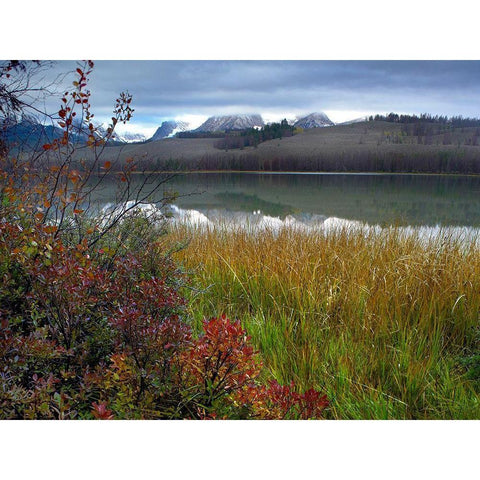 Sawtooth Mountains-Sawtooth National Recreation Area-Idaho White Modern Wood Framed Art Print by Fitzharris, Tim