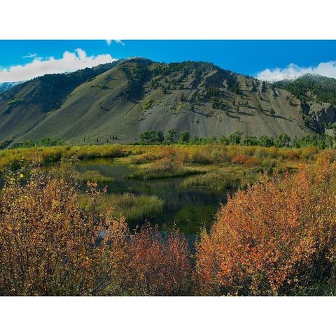 Boulder Mountains and Trail Creek beaver pond in autumn-Idaho Black Modern Wood Framed Art Print with Double Matting by Fitzharris, Tim